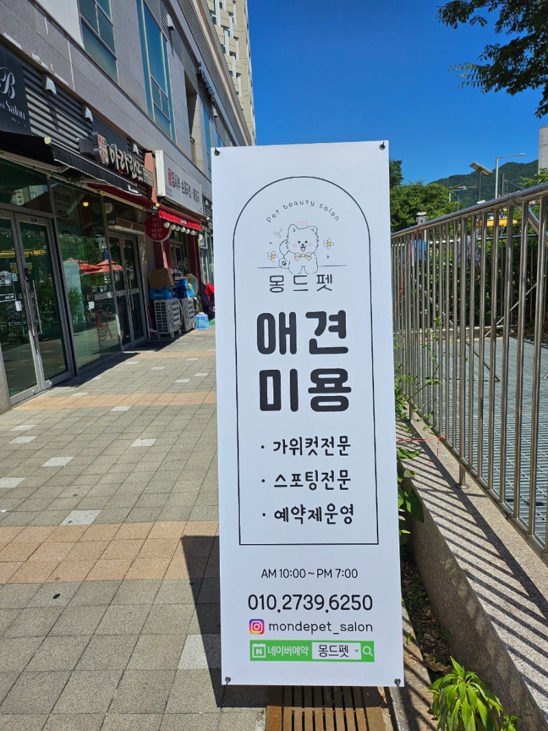 사진 4