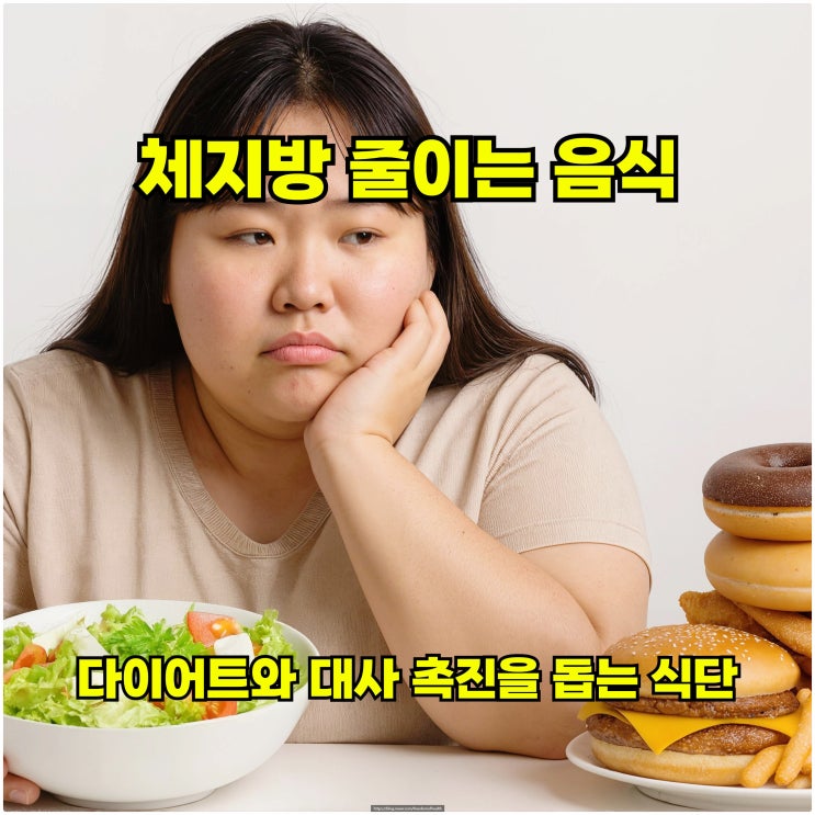  체지방 줄이는 음식 – 다이어트와 대사 촉진을 돕는 식단