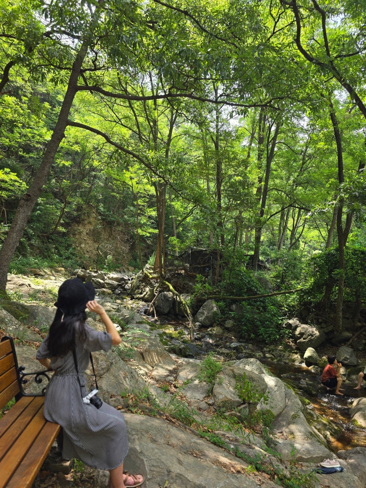  대구 근교 아이와 가볼만한곳 대구 계곡 수성구 진밭골 둘레길 산책로