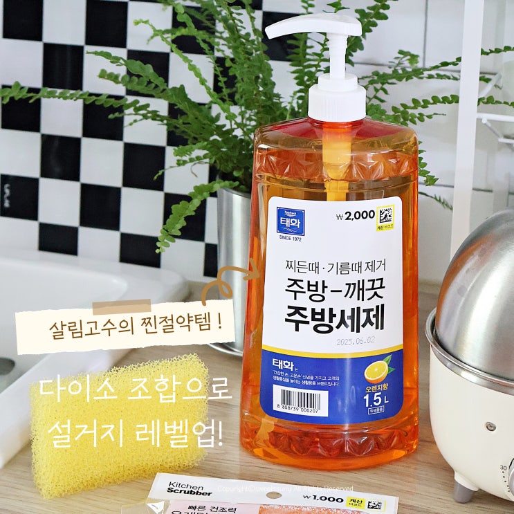  살림고수의 찐절약 다이소 설거지 추천템