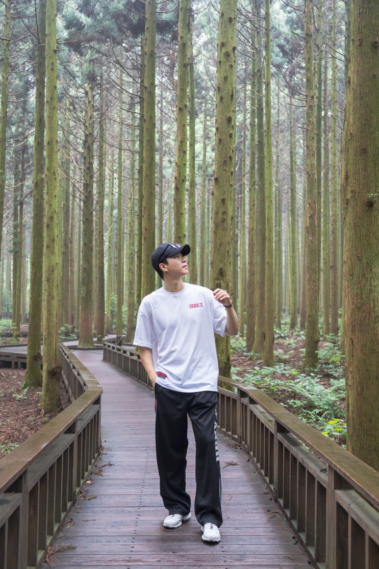  제주 사려니숲길 제주도 숲 입장료 주차