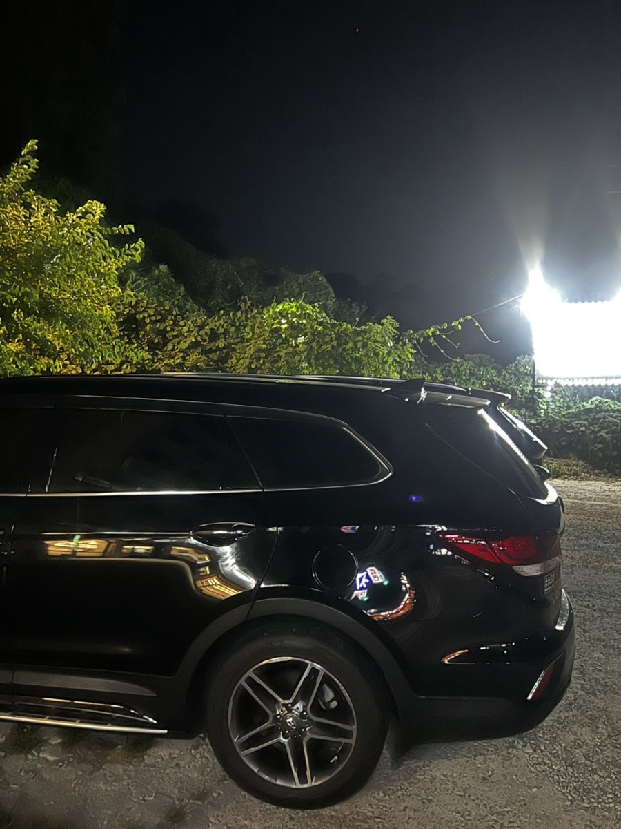 훔쳐온제주도새기 사진 2