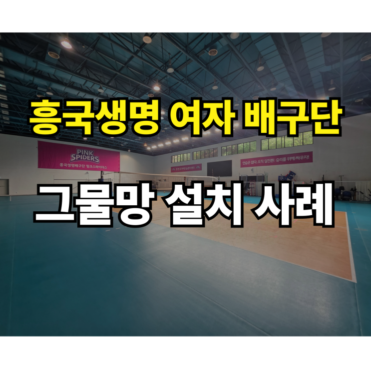  체육관에 그물망 설치하려면 어떤 방식이 좋을까요? 흥국생명 핑크스파이더스 여자배구단 커튼형 설치 사례 소개