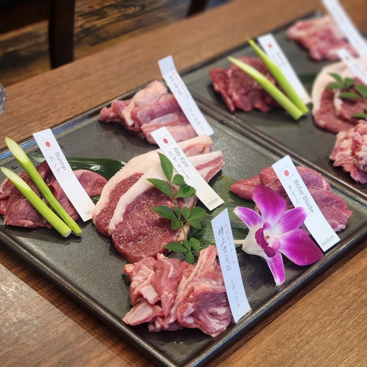  [삿포로/징기스칸] 징기스칸 이시다 | 홋카이도 양고기 가족 코스