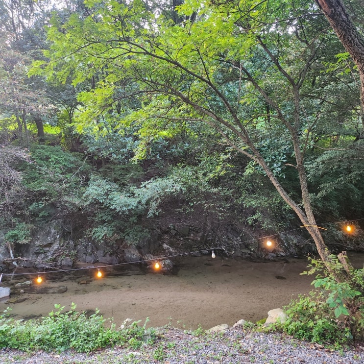  서울근교 경기 가평 물골숲계곡오토캠핑장 후기