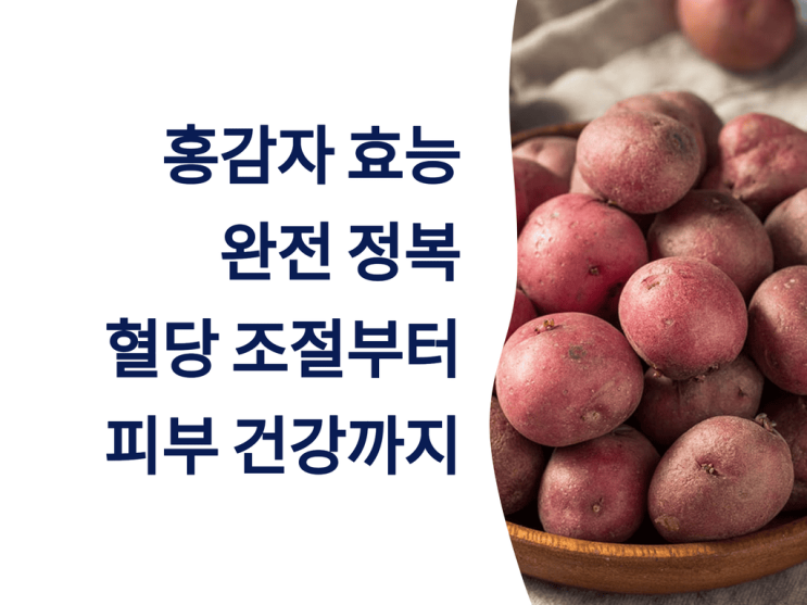  홍감자 효능 완전 정복: 혈당 조절부터 피부 건강까지