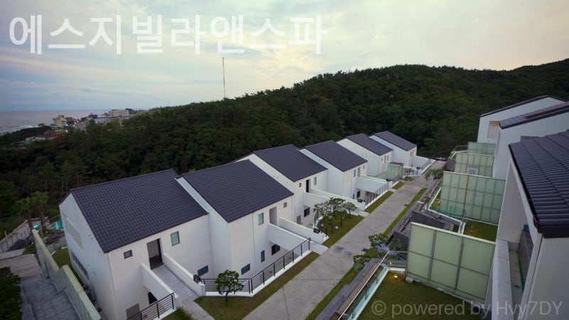 사진 9