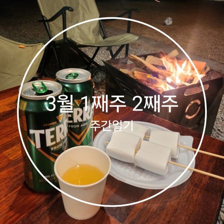  3월 1째주 2째주 주간일기 생일기념 캠핑
