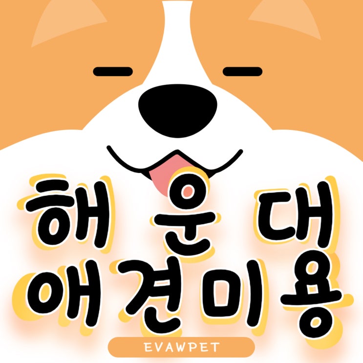  해운대애견미용학원 반려동물 전문가로 성장하는 최고의 선택