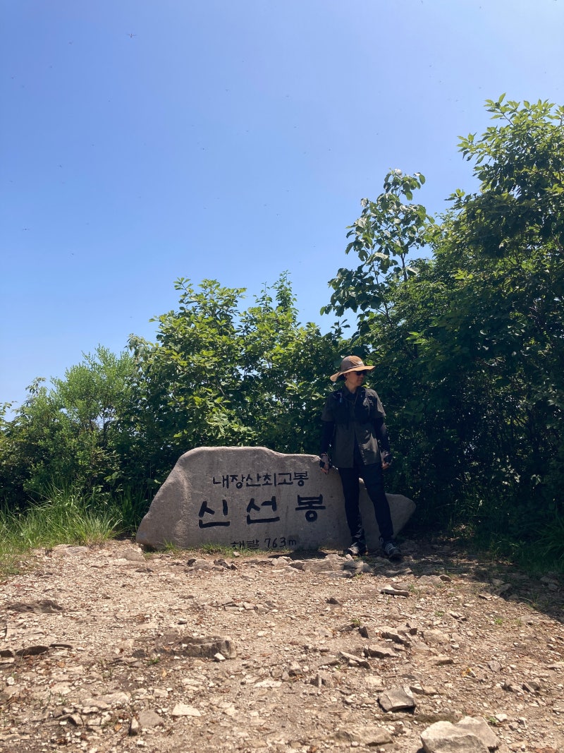 내장산 여름등산 최단코스 추천 난이도 시간 후기