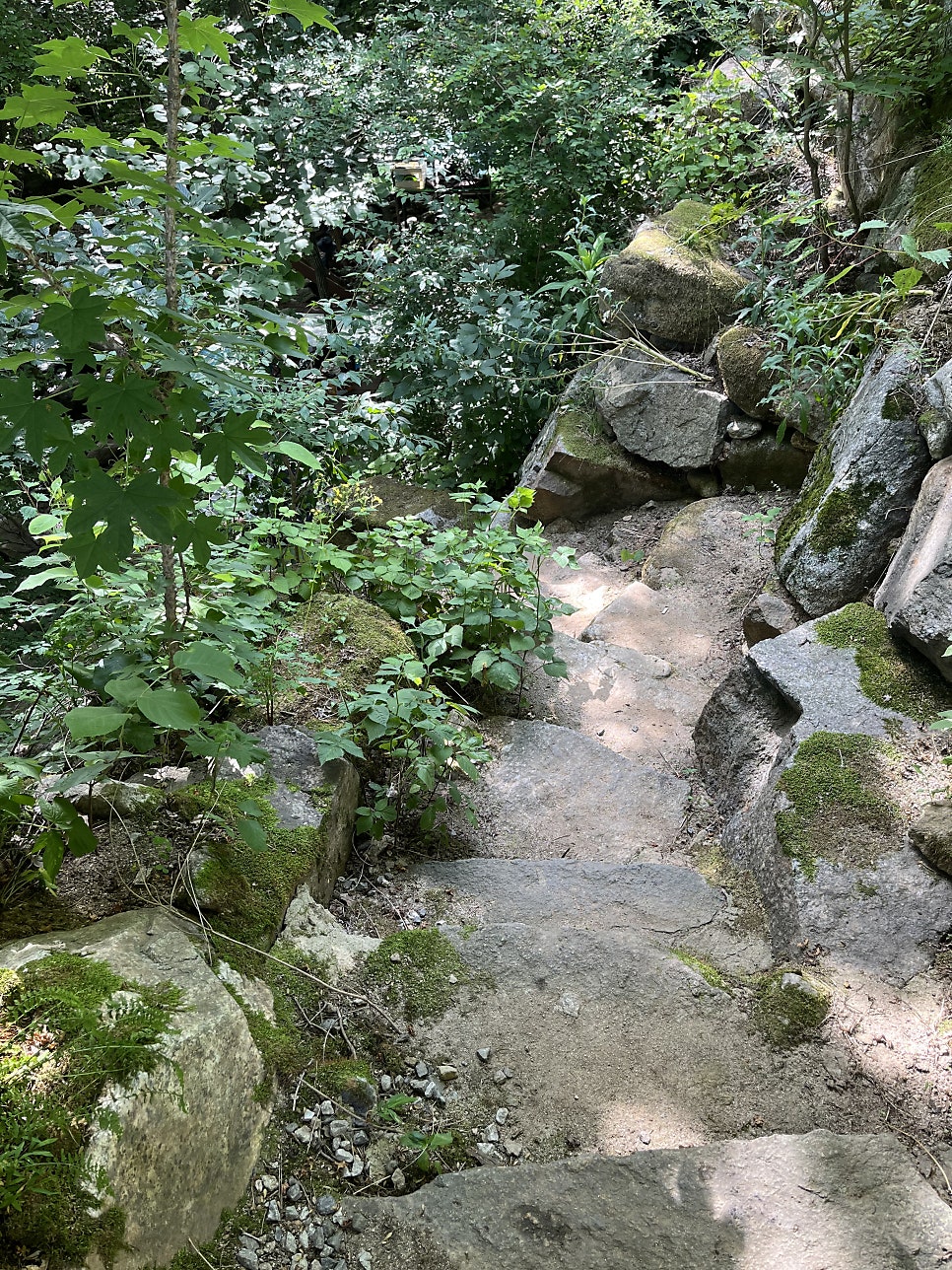 오두재민박 사진 4