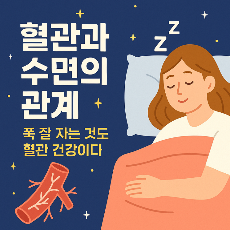  혈관과 수면의 관계 – 푹 잘 자는 것도 혈관 건강이다