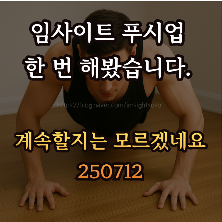  임사이트 푸시업 한 번 해봤습니다. 계속할지는 모르겠네요 250712