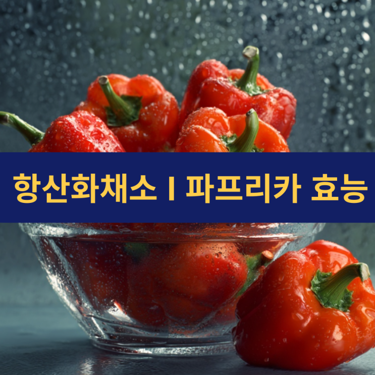  파프리카 효능 | 파프리카 보관법 | 파프리카 1개 칼로리 | 항산화채소