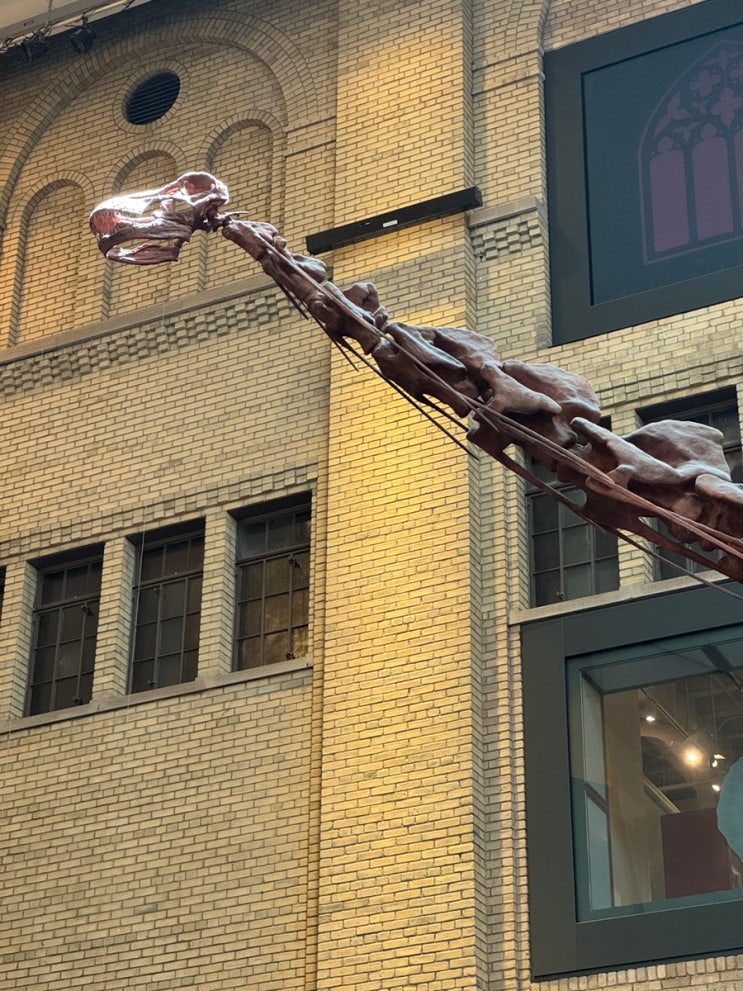  [토론토] 로열 온테리오 뮤지엄 Royal Ontario Museum (ROM) 토론토 박물관