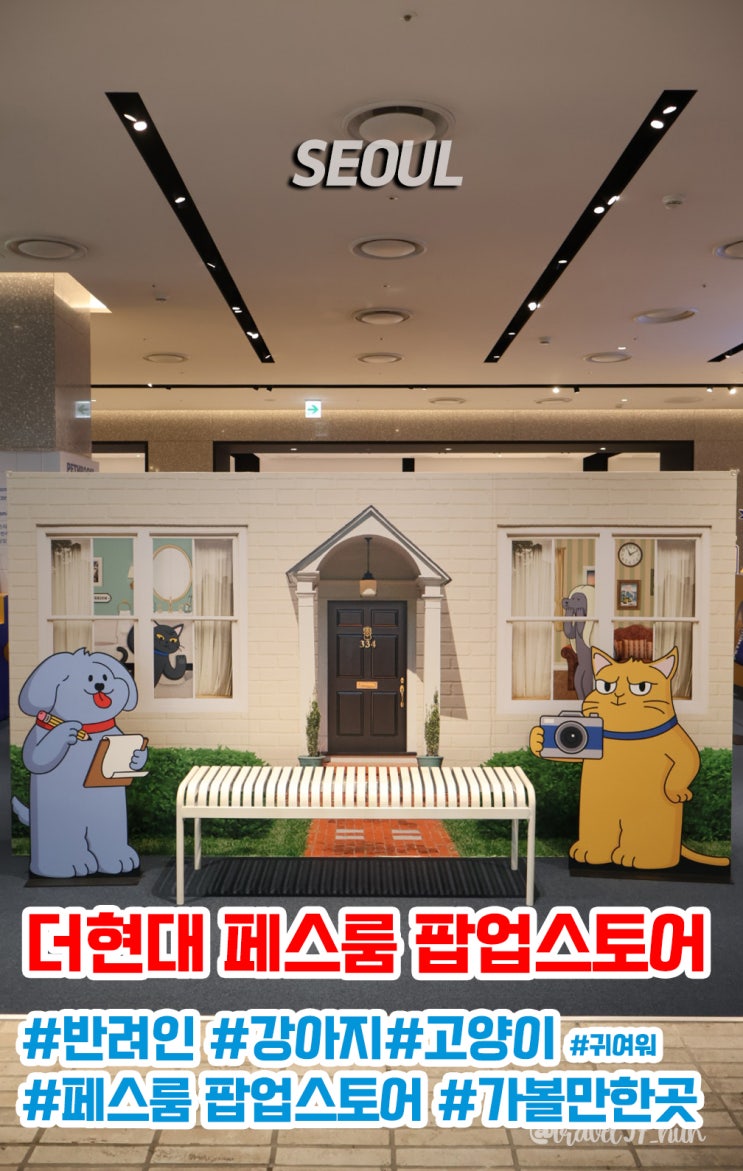  더현대 놀거리 추천 반려인 강아지 고양이 페스룸 팝업스토어
