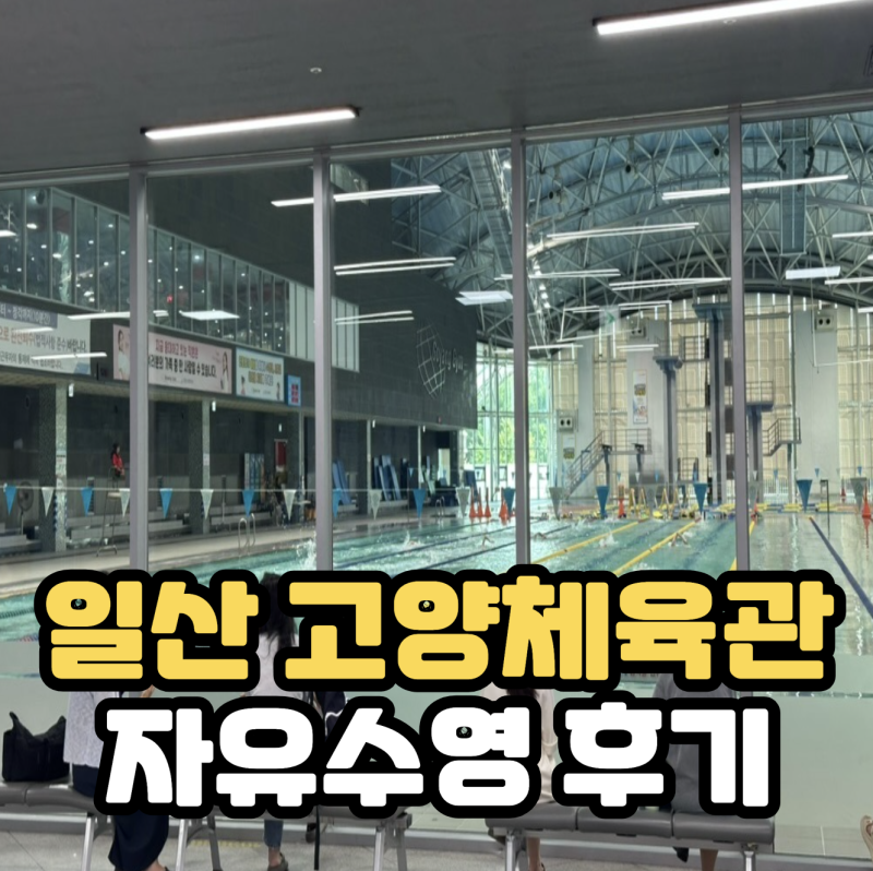 고양체육관 자유수영 후기, 50미터 풀, 관외 가격, 주차장, 자유수영 티켓팅 시간