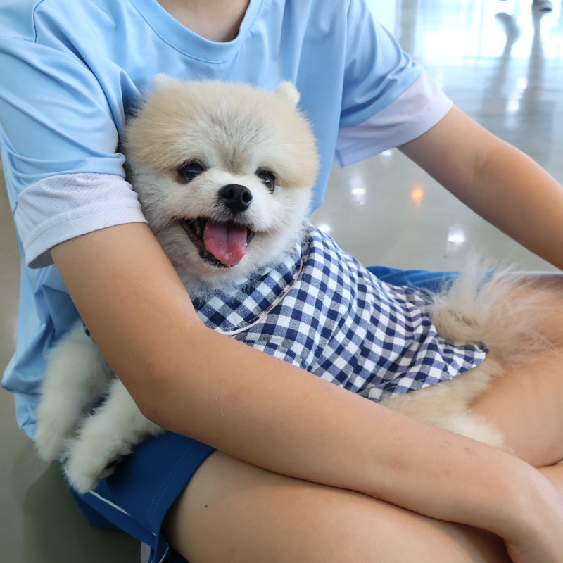 사진 2