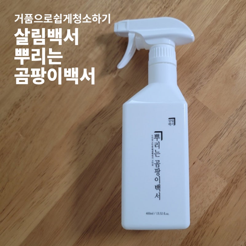 쉬운 곰팡이 제거 방법 살림백서 뿌리는 곰팡이제거제