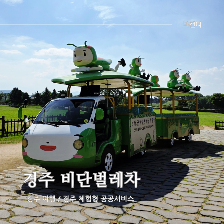  경주 공공서비스 비단벌레차 예약, 가격, 코스
