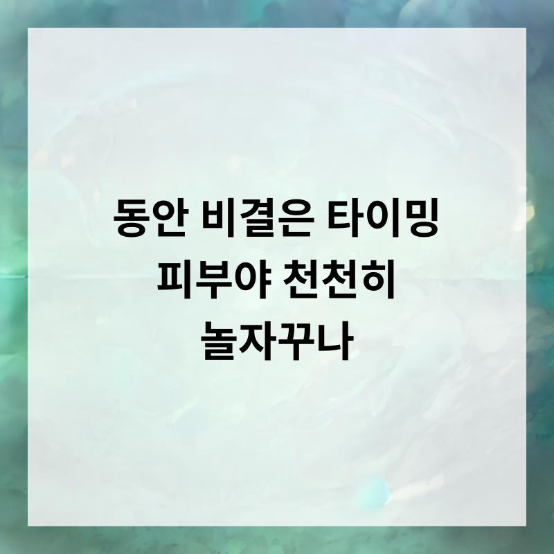 사진 6