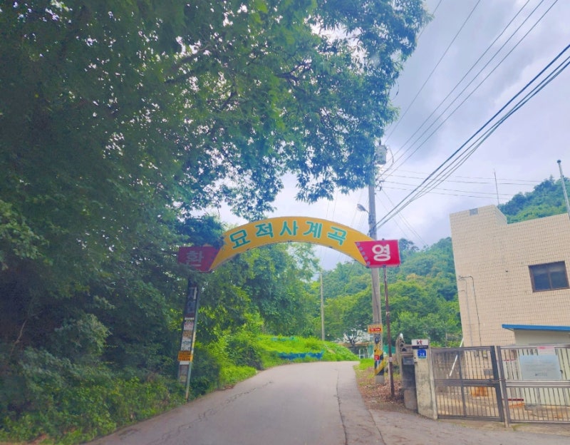사진 2