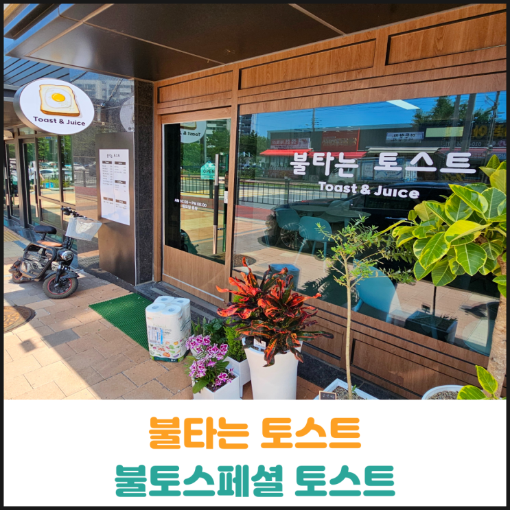  불타는 토스트, 불토스페셜 토스트 후기