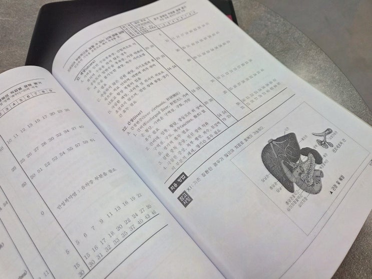  안양 손해사정사, 후유장애 보험금 청구의 전문가와 상담하기
