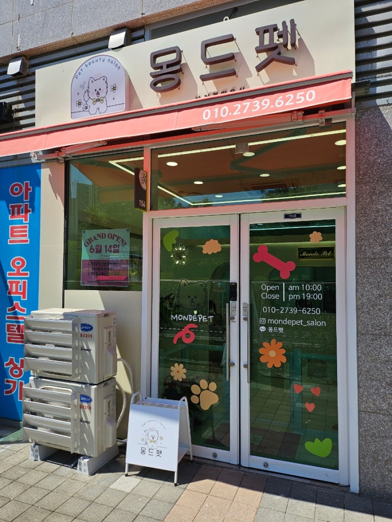 사진 5