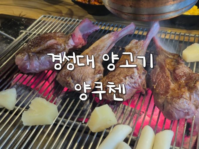 양쿠첸 사진 1