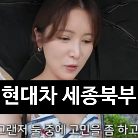  현대차 세종북부지점 상담 거부! 유튜버 스카이 사태 전말 현대차 입장문 공개?!