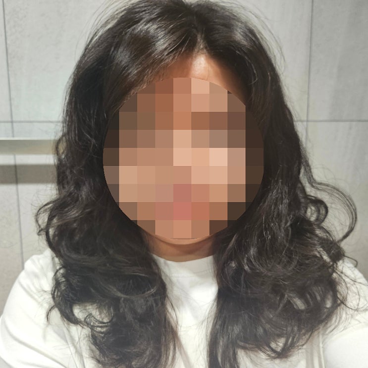  헤어모델로 망한 머리 썰 | 상한 머리 복구 후기
