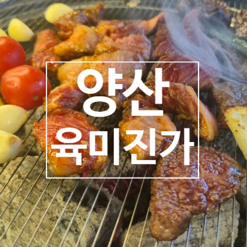  양산범어맛집 양산 소고기 맛집 육미진가