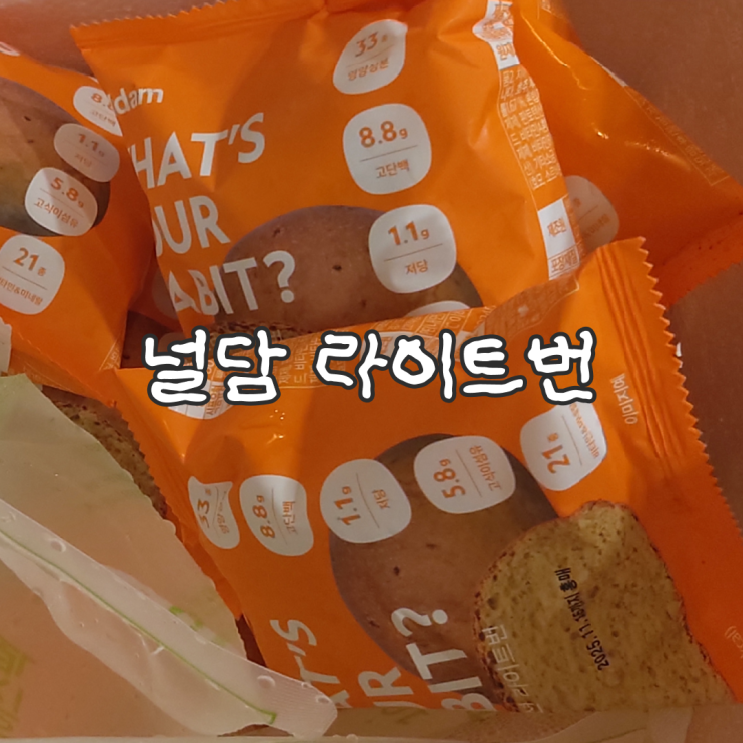  널담 라이트번으로 저당 고단백 초간단 모닝빵 샌드위치 만들기 레시피