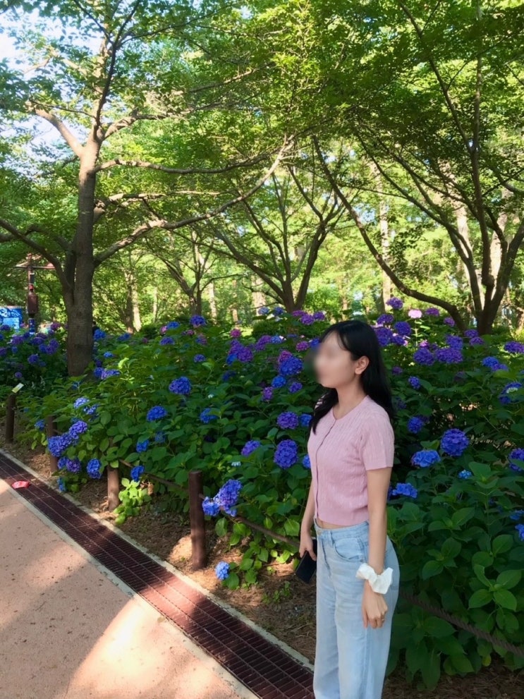  [울산 여행] 대왕암공원 수국길 산책 바다 뷰·출렁다리까지 완벽한 힐링 코스