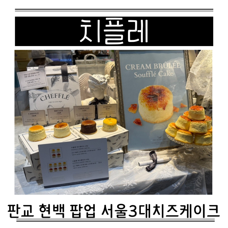  판교 현백 팝업 디저트 선물 치플레 서울3대치즈케이크