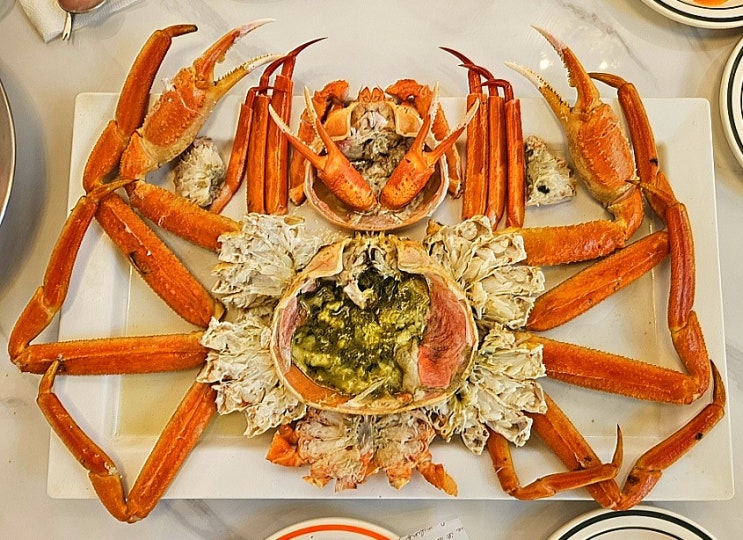  속초 여행 [대게여왕] 가성비 최고  대게 홍게 속초관광수산시장 속초중앙시장
