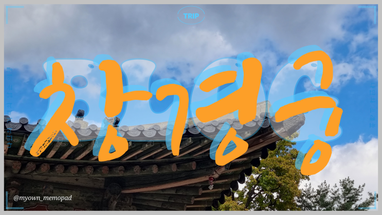 서울 궁 투어 조선왕조의 창경궁 궁궐 데이트 산책 코스