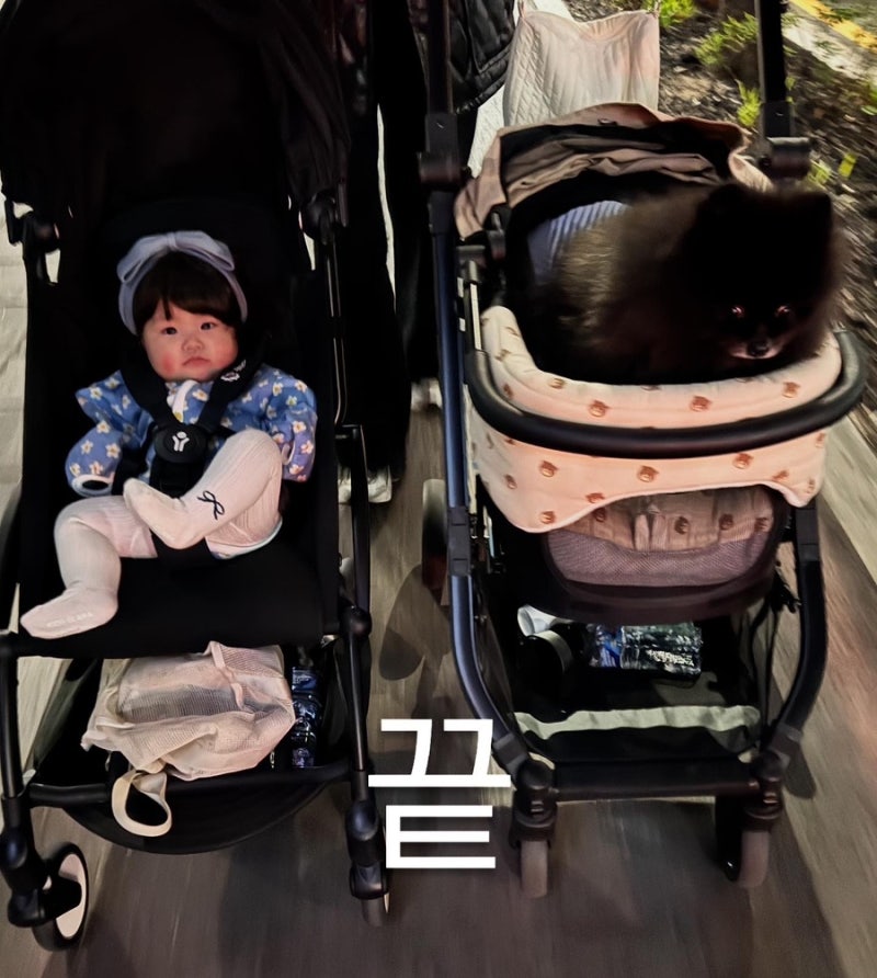 까미의 추천_개모차(루루앤미미,피카노리,로띠에)