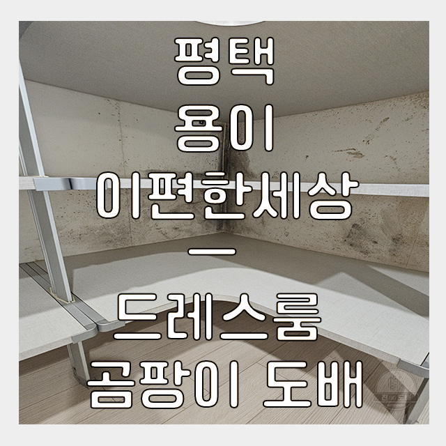 요즘 필수! 곰팡이 걱정 끝! 평택 이편한세상 드레스룸 도배 시공 사례