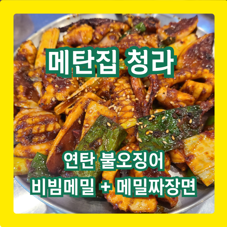  메탄집 청라점, 연탄불 오징어의 화끈한 맛! 비빔메밀&메밀짜장