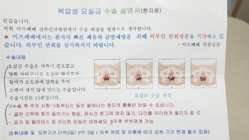 30대가 요실금 수술한 찐후기 공유 이야기.통증 등 모든 것 기록하기 익산미즈베베산부인과 ....