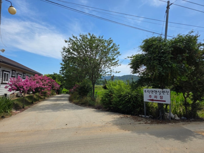 논산애견