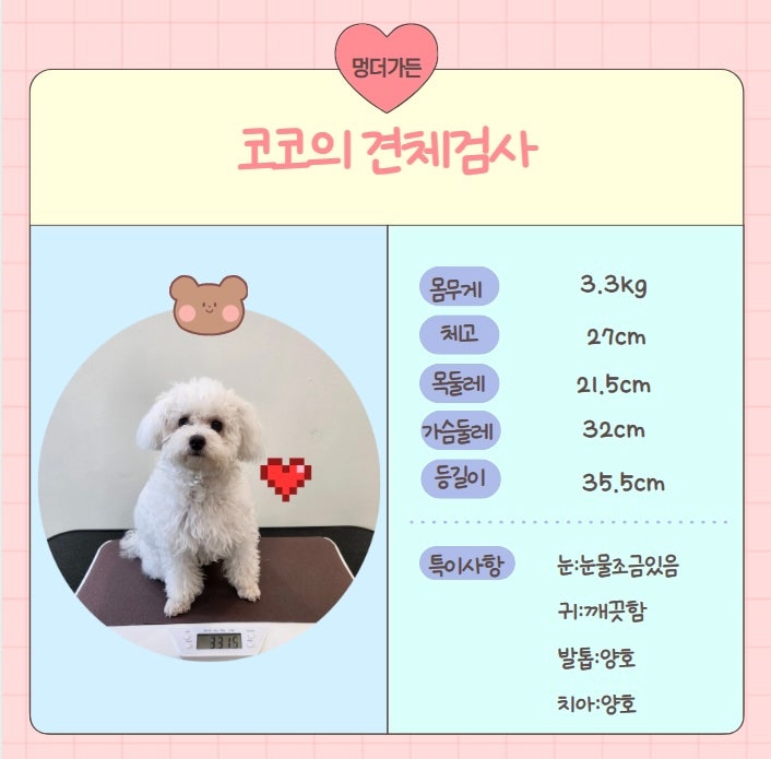 사진 6