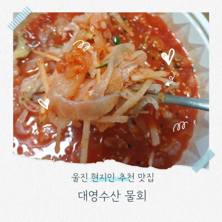  울진 후포항 현지인 추천 맛집 대영수산 물회 전복죽 포장 후기