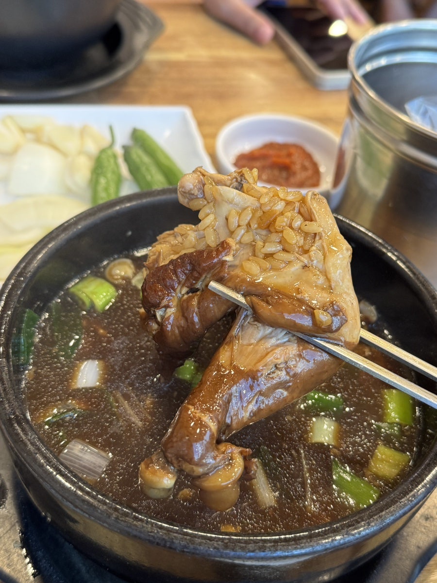 송할머니옻닭집 사진 2