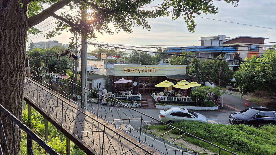 은행나무길카페&타로 사진 2