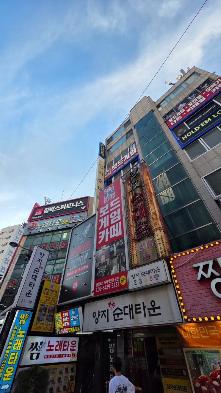  신림동 양지순대타운 백순대 맛집 201호 전주집 고모네