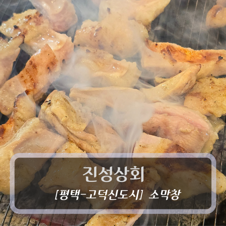 평택 고덕 맛집 :: 진성상회 - 소막창 후기