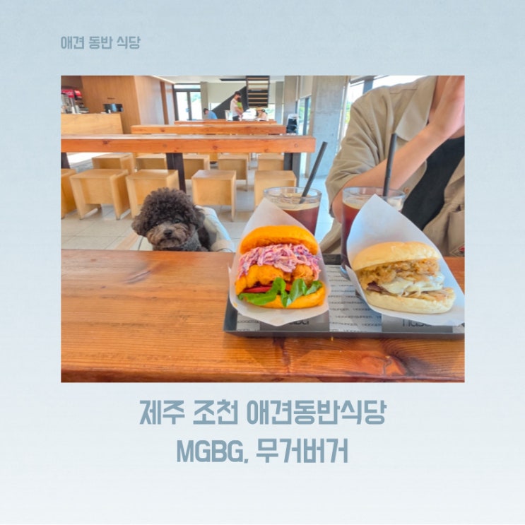  제주 함덕해수욕장 근처 애견동반 가능한 오션뷰 식당 무거버거